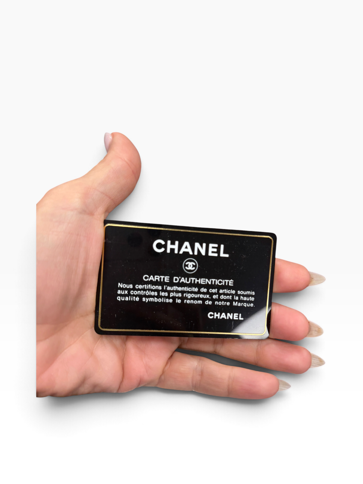 Chanel Paris-Bombay Antik Large Boy Flap Bag