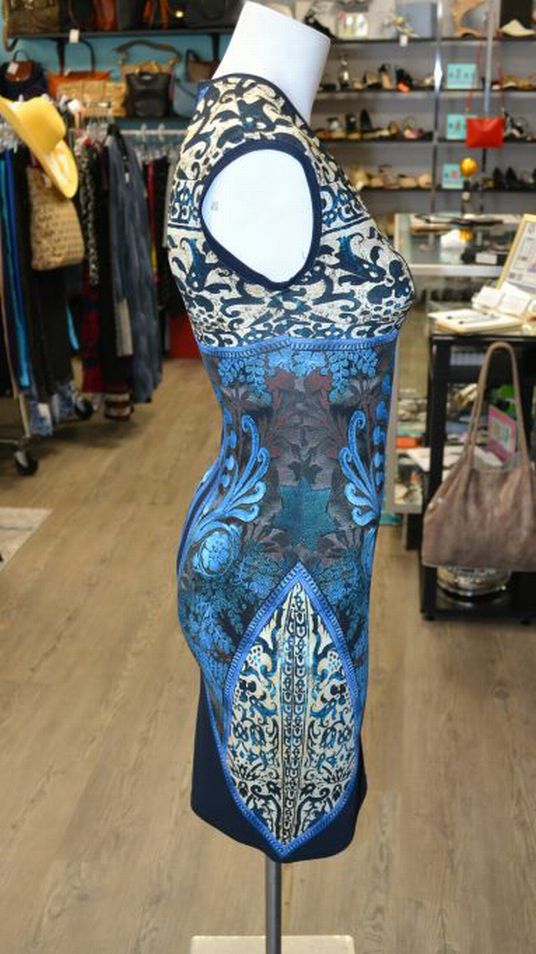 Roberto Cavalli Multicolor Printed Bodycon Dress Size 4